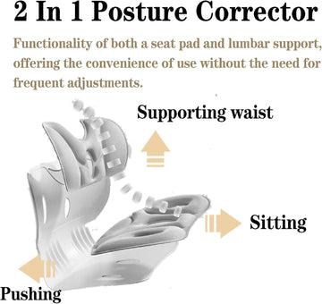 Saludea Ergonomic Back Support