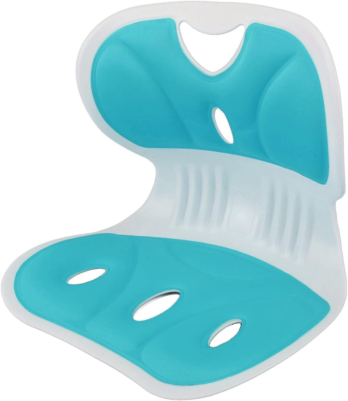 Saludea Ergonomische Rückenstütze