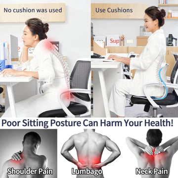 Saludea Ergonomic Back Support