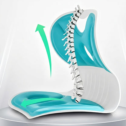 Saludea Ergonomische Rückenstütze